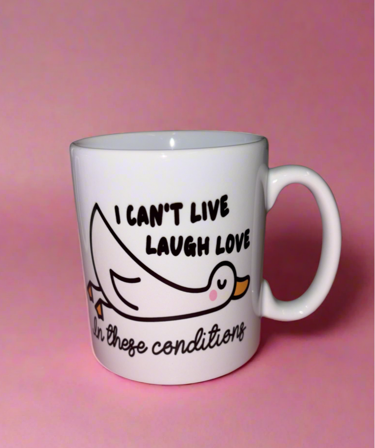 Can’t live laugh love in these conditions mug✨